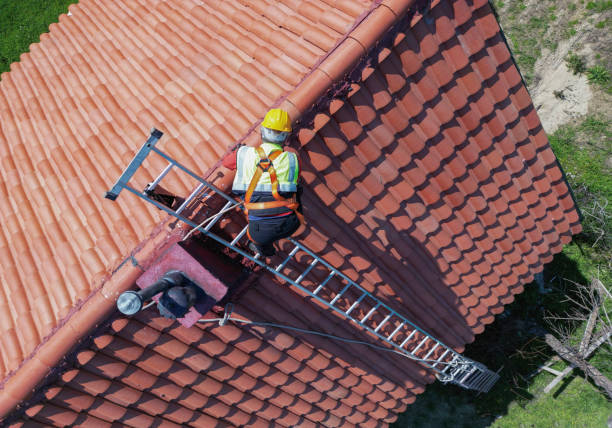 Best Roof Moss and Algae Removal  in Broken Bow, NE